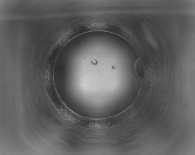 X0000051910739200507011533