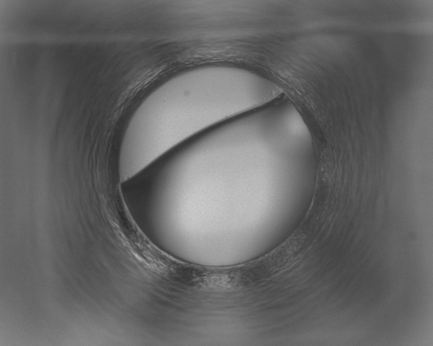 X0000051910740200507011533