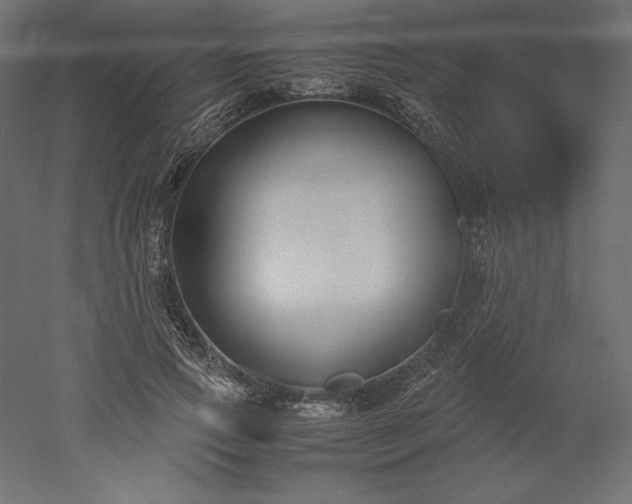 X0000051910741200507011533