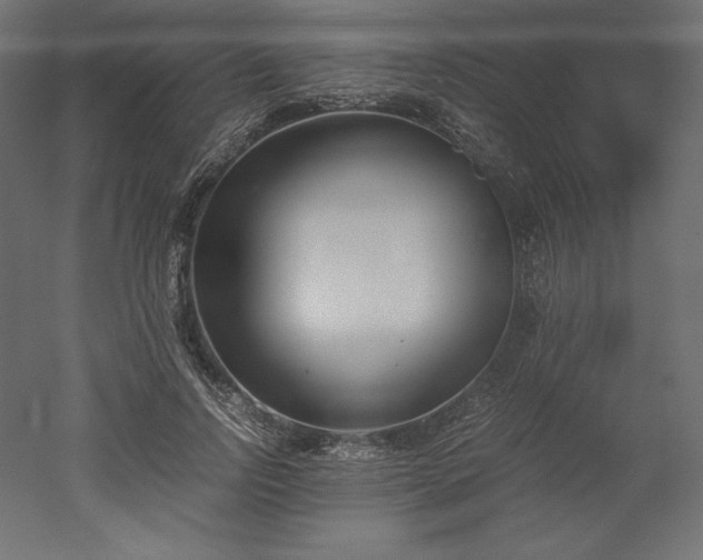 X0000051910742200507011533