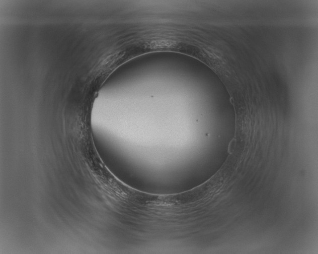 X0000051910743200507011533