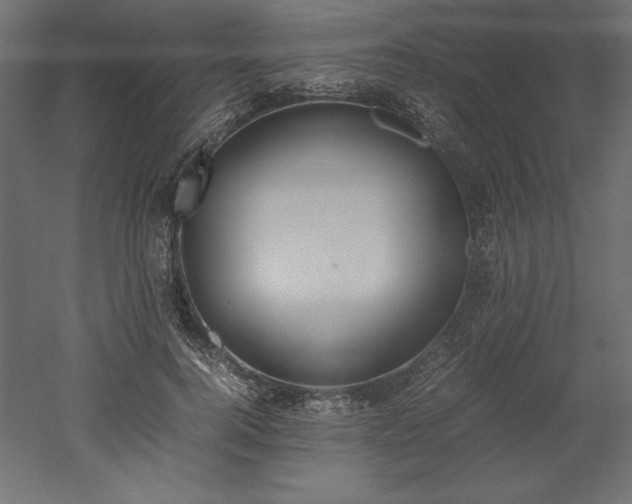 X0000051910744200507011533