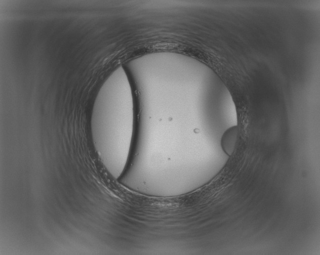 X0000051910745200507011533