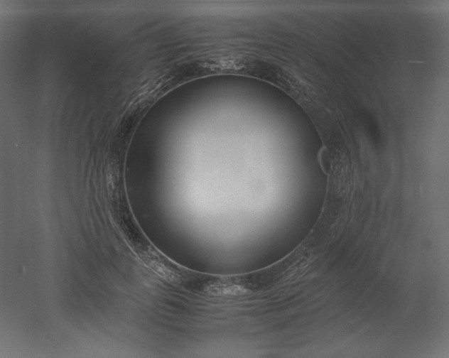 X0000051910747200507011533