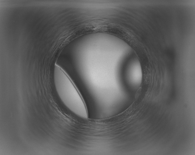 X0000051910748200507011533