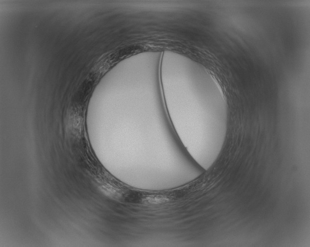 X0000051910749200507011533