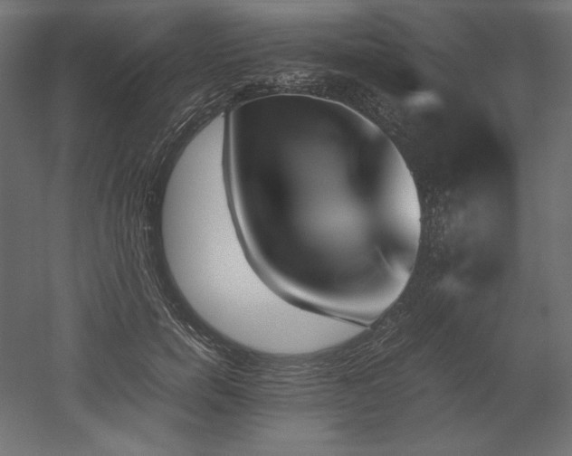 X0000051910750200507011533