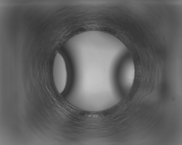 X0000051910751200507011533