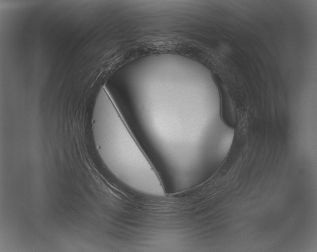 X0000051910752200507011533