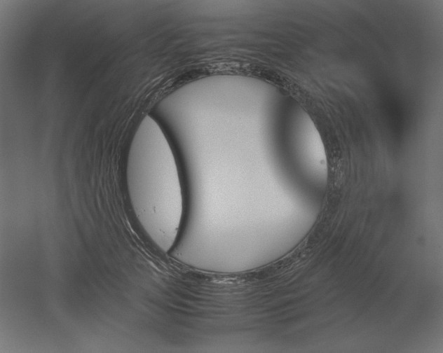 X0000051910753200507011533