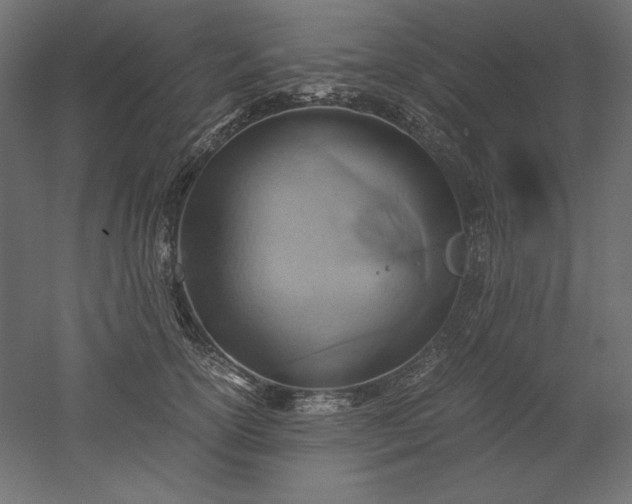 X0000051910754200507011533