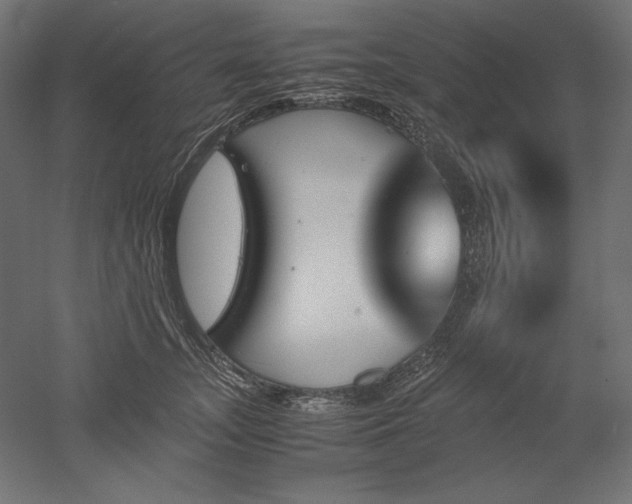 X0000051910755200507011533