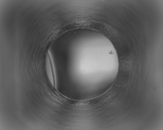 X0000051910756200507011533