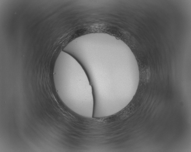 X0000051910757200507011533