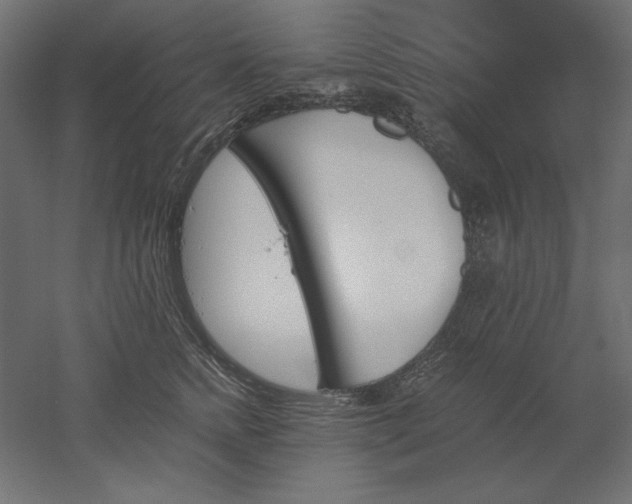 X0000051910758200507011533