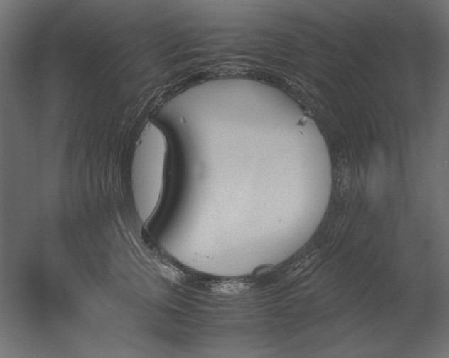 X0000051910759200507011533