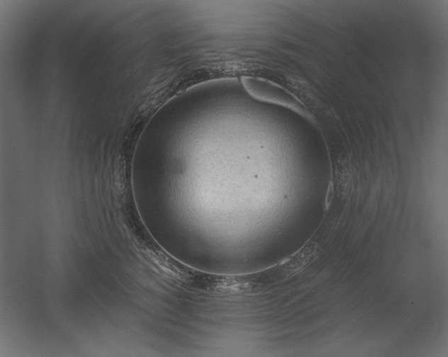 X0000051910760200507011533