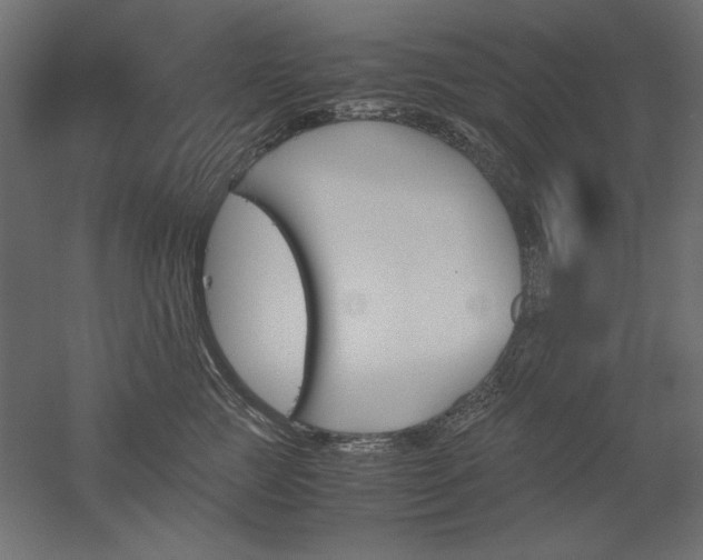 X0000051910761200507011533