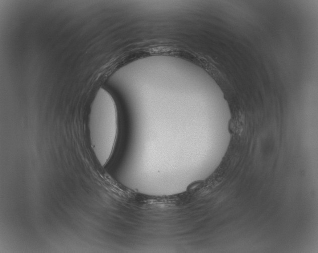 X0000051910763200507011533