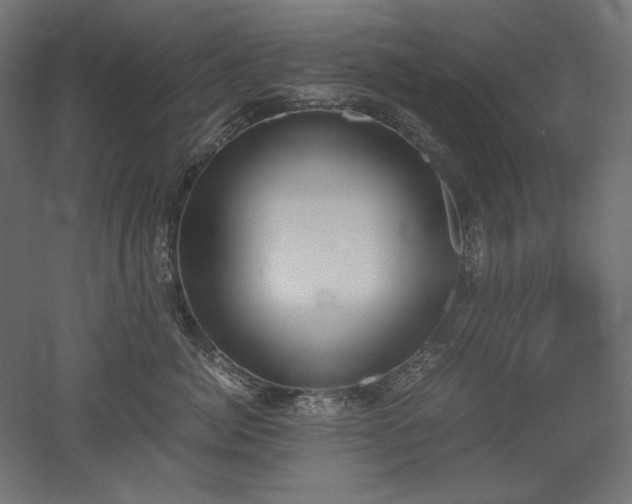 X0000051910764200507011533