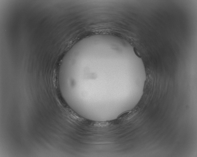 X0000051910767200507011533