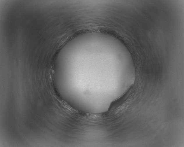 X0000051910768200507011533