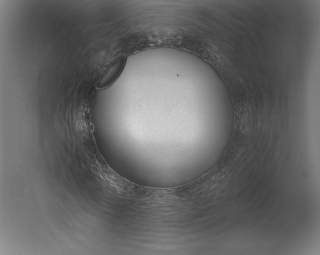 X0000051910770200507011533