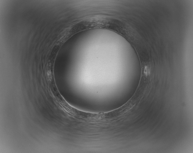 X0000051910771200507011532