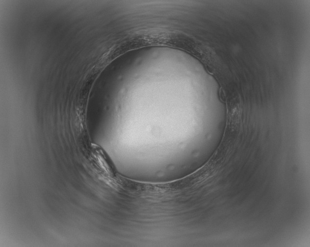 X0000051910772200507011532