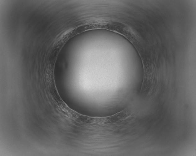 X0000051910773200507011532