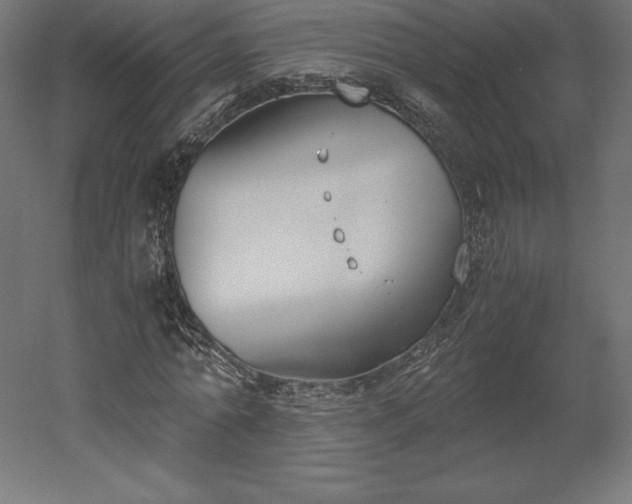 X0000051910774200507011532