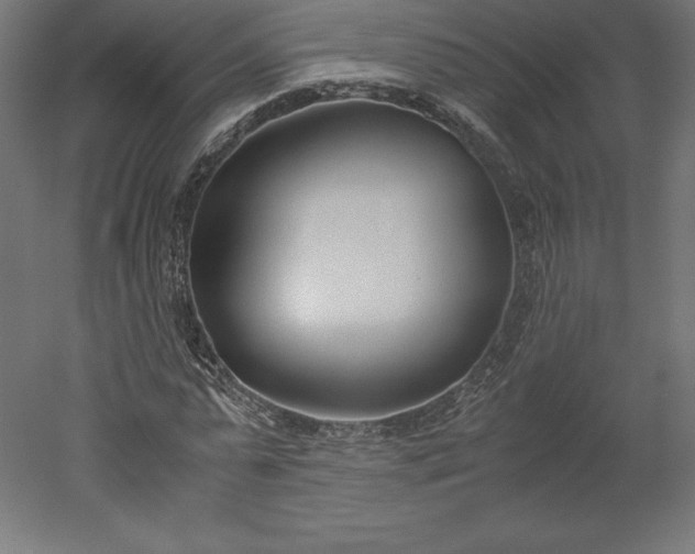 X0000051910775200507011532