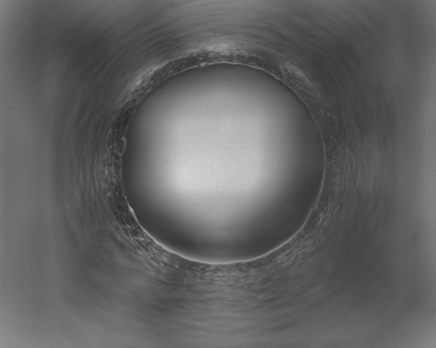 X0000051910776200507011532