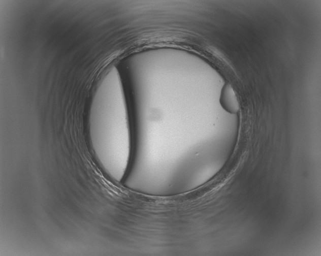 X0000051910777200507011532