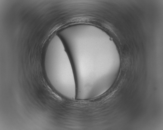 X0000051910778200507011532