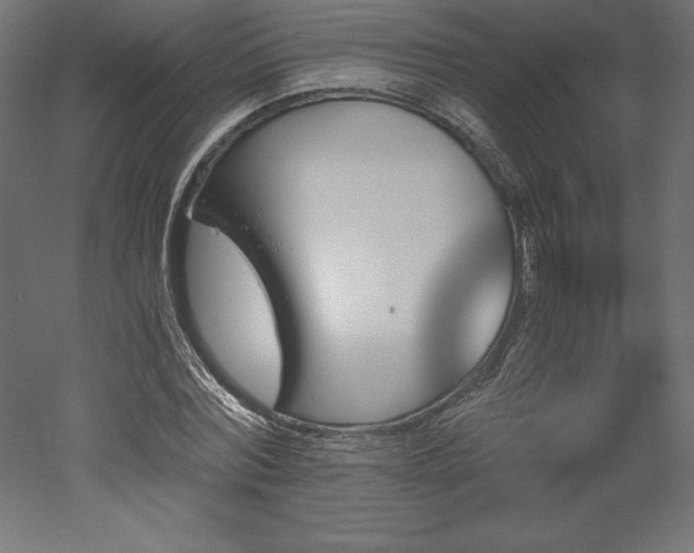 X0000051910780200507011532