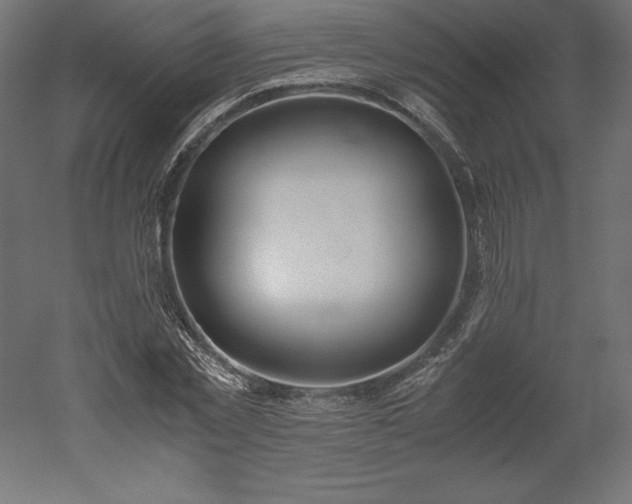 X0000051910781200507011532