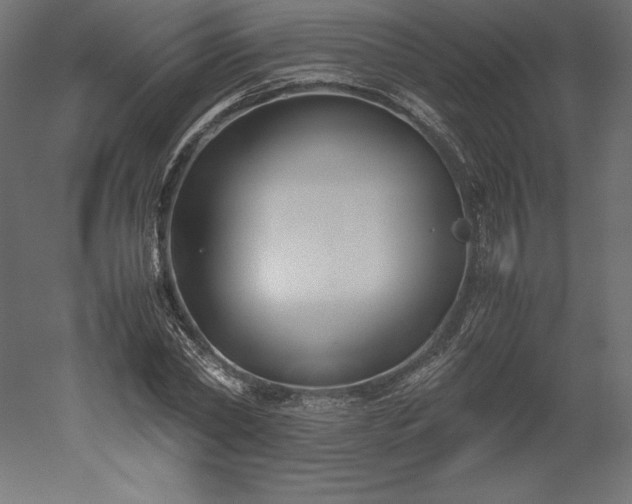 X0000051910782200507011532