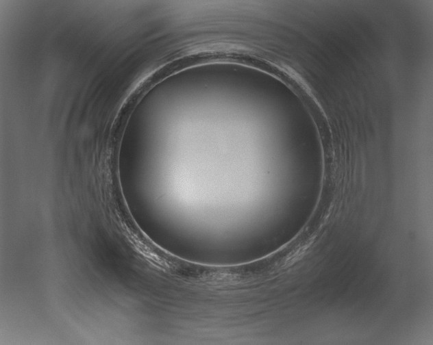 X0000051910783200507011532