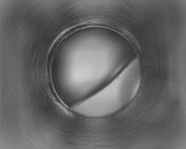 X0000051910784200507011532