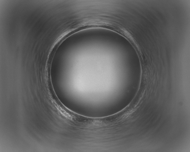 X0000051910787200507011532