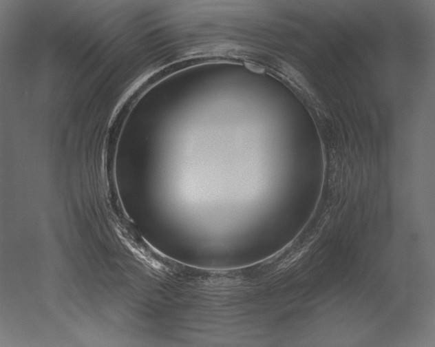 X0000051910788200507011532