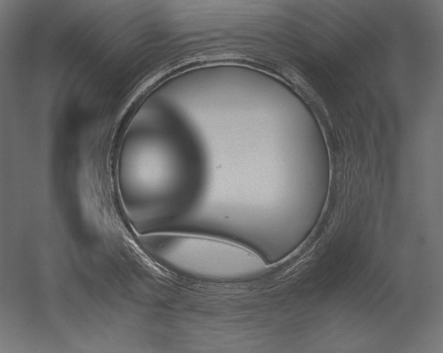 X0000051910789200507011532