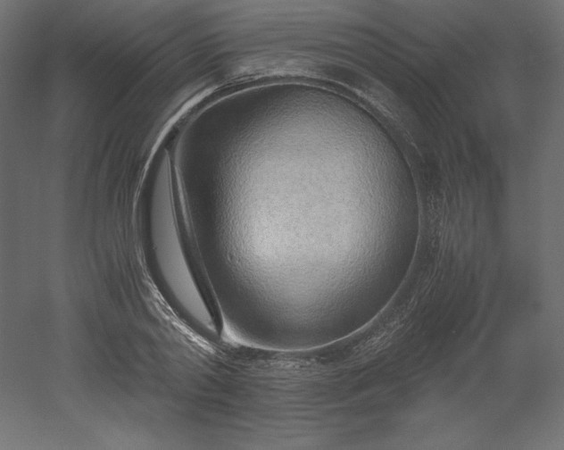 X0000051910790200507011532