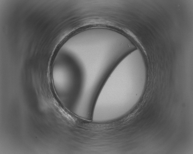 X0000051910791200507011532