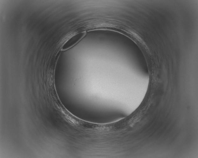 X0000051910793200507011532