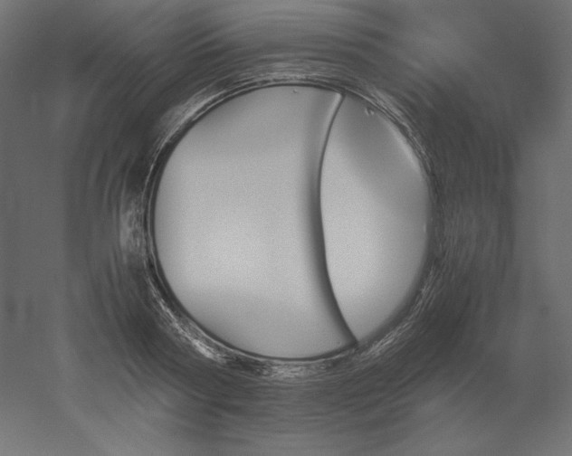 X0000051910794200507011532