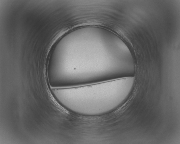 X0000051910797200507011532