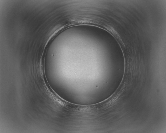 X0000051910798200507011532