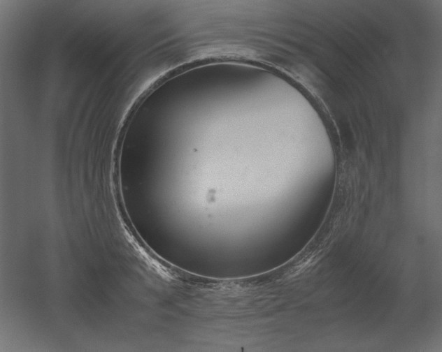 X0000051910799200507011532